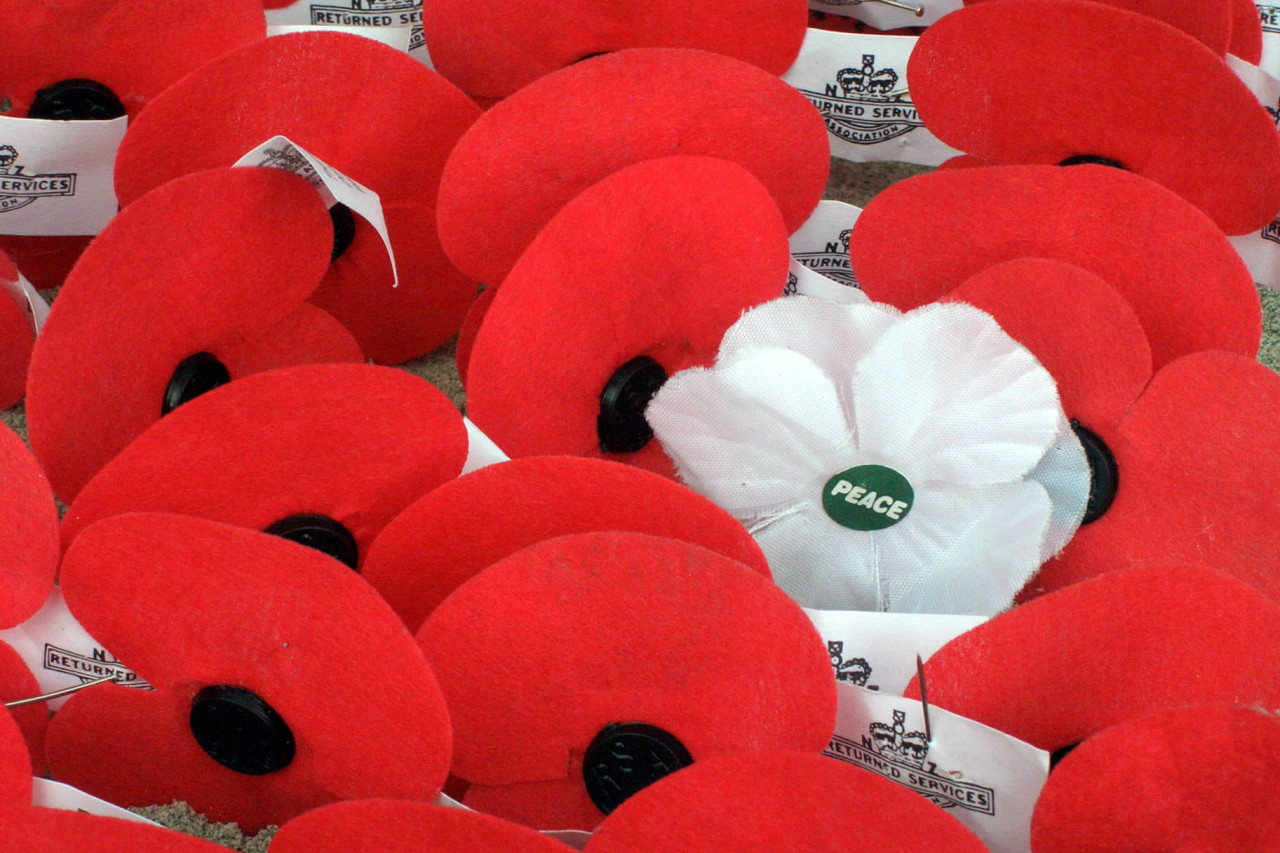 Anzac Day 2023: Why you will rarely see a fresh poppy at Anzac Day