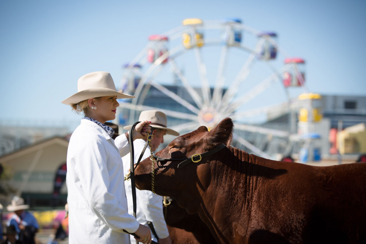 Ekka People S Day In Queensland In 21 Office Holidays