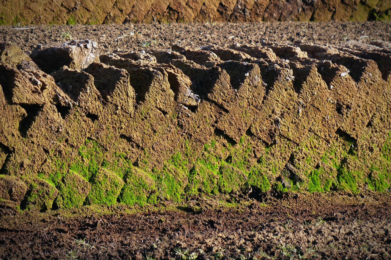 Peat Cutting Monday in Falkland Islands in 2025