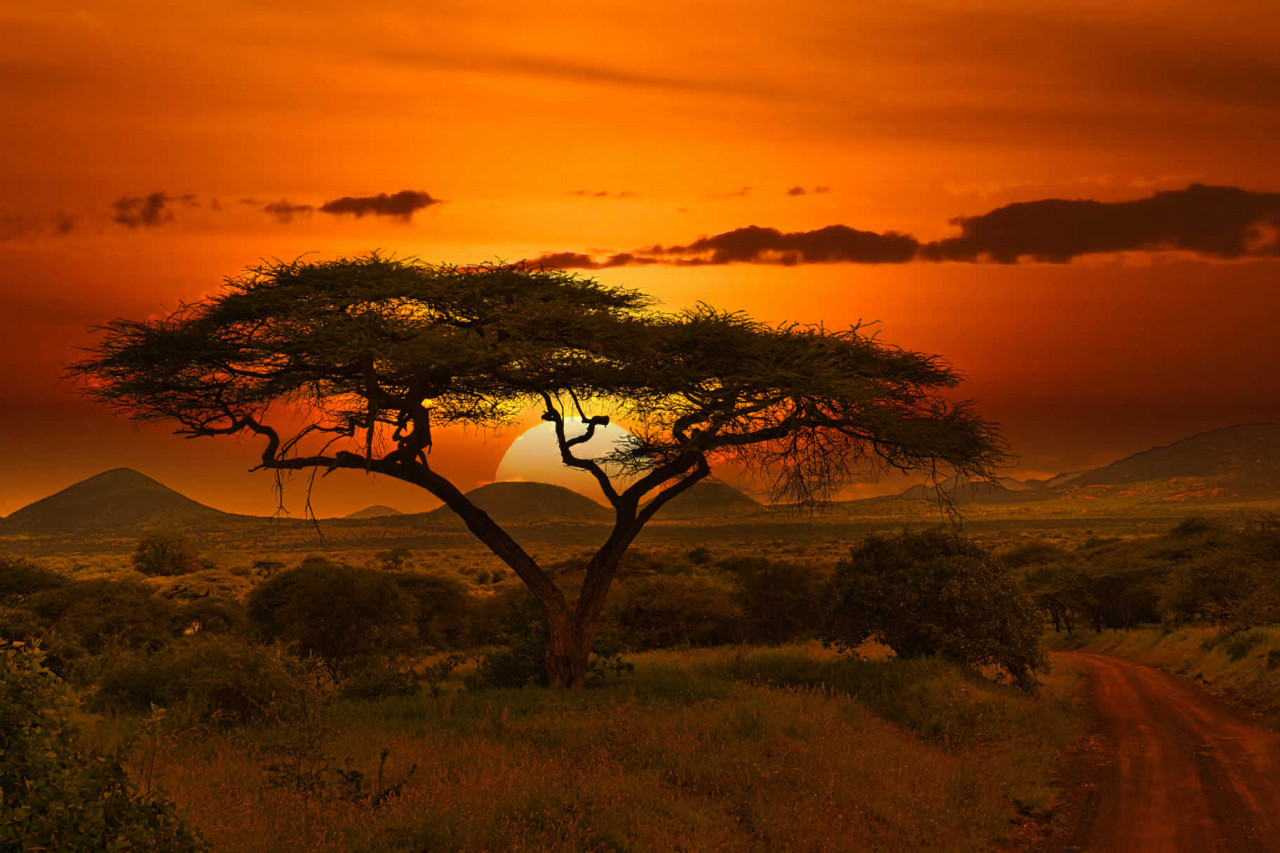 Mazingira Day in Kenya in 2025
