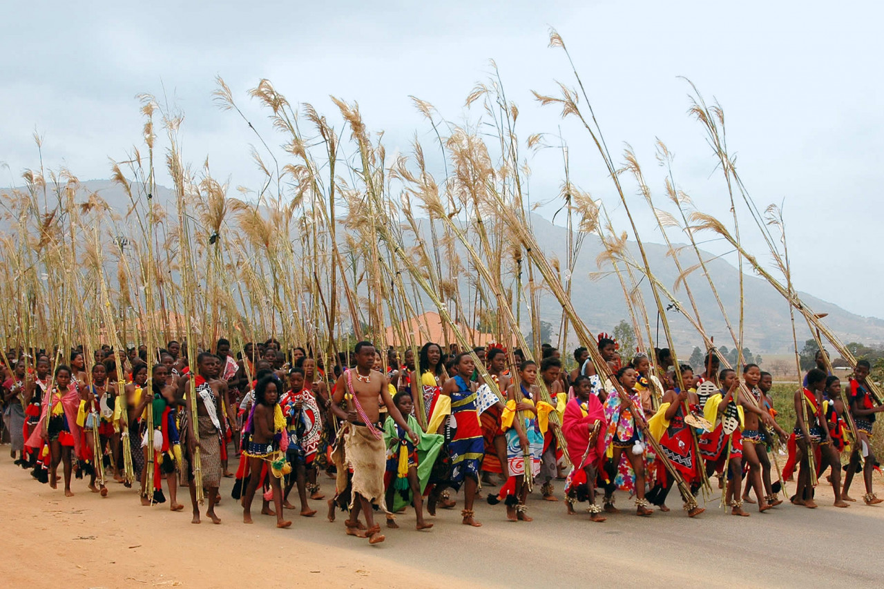 Swazi Reed Dance 2022 Swazi Reed Dance 2022