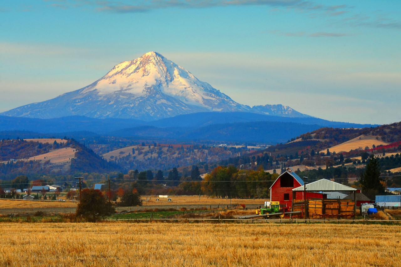 Federal Holidays in Oregon in 2020 | Office Holidays