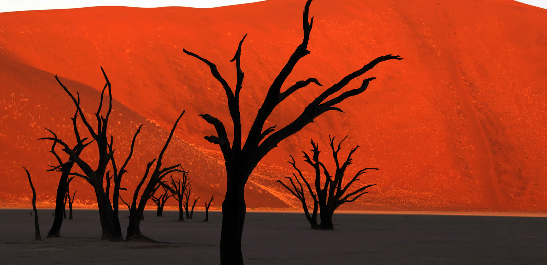 Observances In Namibia In 2025 There Is A Day For That 