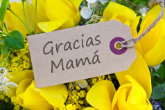 Latin American Mother's Day