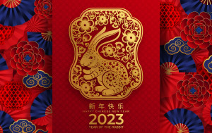 The Chinese New Year is very similar to the Western one, swathed in traditions and rituals