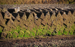 Peat was a traditional and invaluable source of energy that helped establish the settlement of the islands.