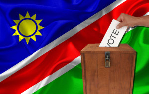 A national holiday to enable Namibians to take to the polls for the Presidential and National Assembly elections.