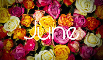 The Rose is the traditional flower of June.