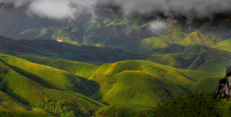 Nagaland 2018