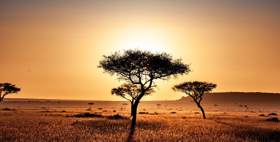 National Tree Growing Day in Kenya in 2024