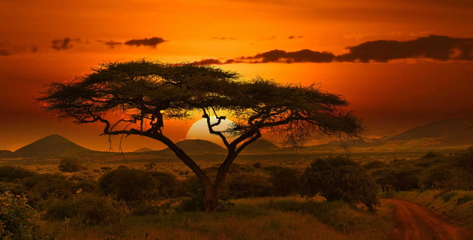 National Tree Growing Day in Kenya in 2023