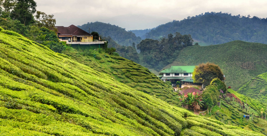 National Holidays In Pahang In 2017 Office Holidays