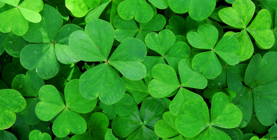 Facts about St. Patrick's Day